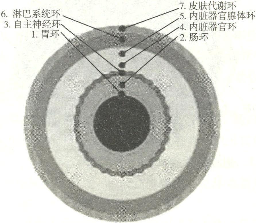 虹膜的七環(huán)圖
